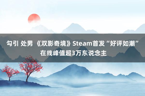勾引 处男 《双影奇境》Steam首发“好评如潮” 在线峰值超3万东说念主