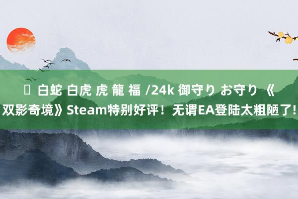 ✨白蛇 白虎 虎 龍 福 /24k 御守り お守り 《双影奇境》Steam特别好评！无谓EA登陆太粗陋了!