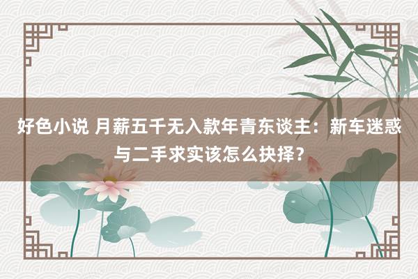 好色小说 月薪五千无入款年青东谈主：新车迷惑与二手求实该怎么抉择？